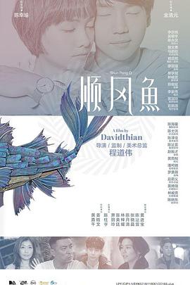 子夜项目