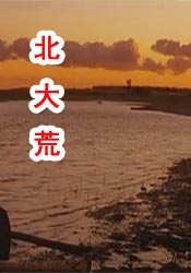 精品一区二区久久久久久久网精