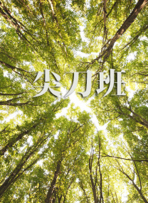 日韩欧美综合视频