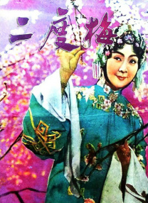 天天操穴
